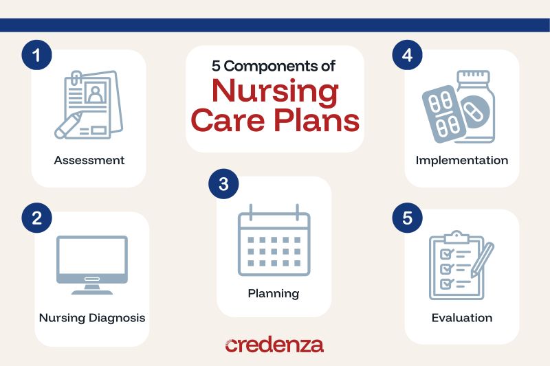 Nursing Care Plan Graphic