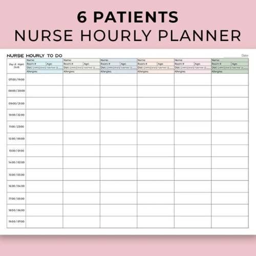 Hourly brain sheet.